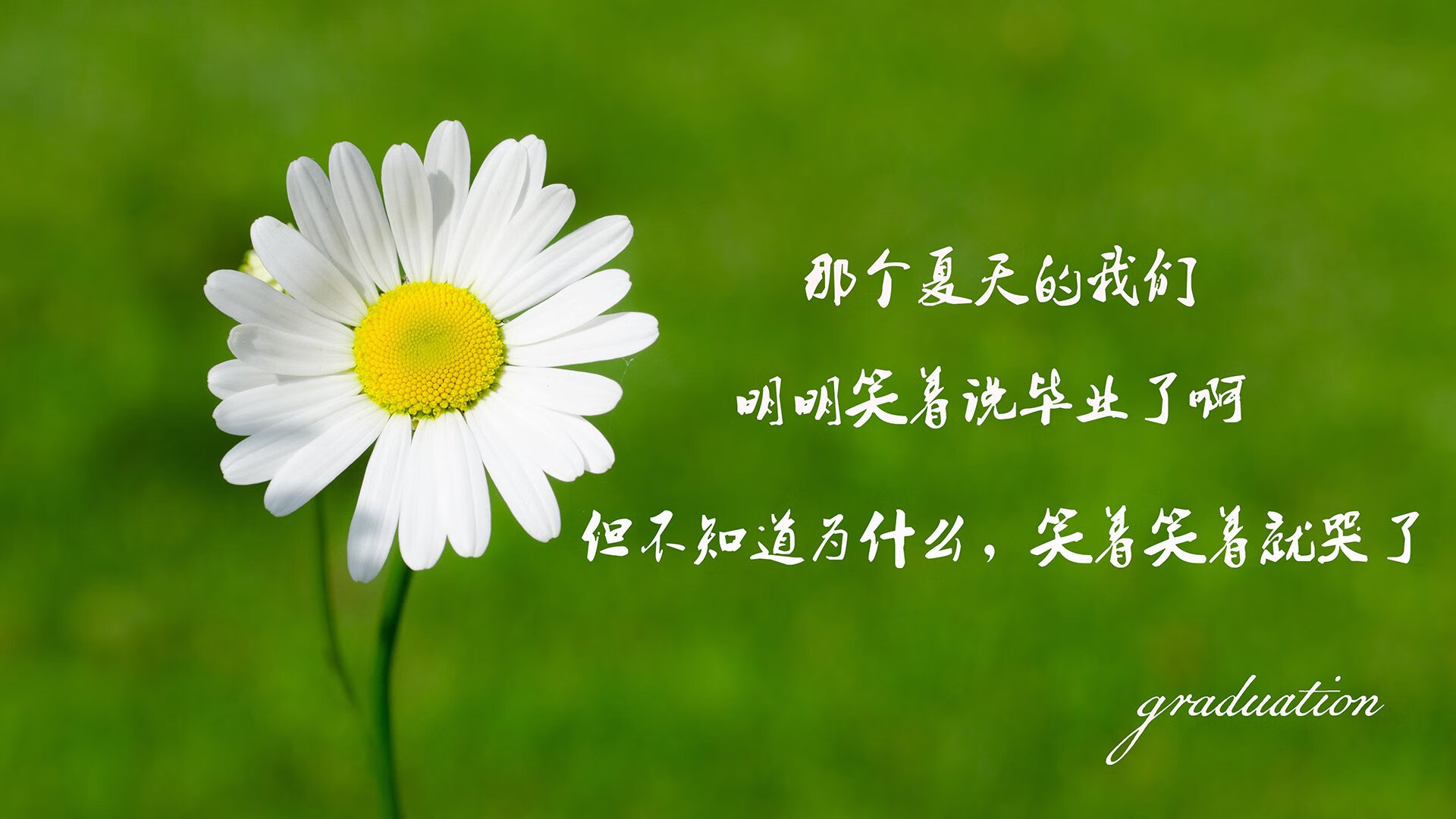 有机水果与无机水果的区别(有机水果与无机水果的区别在哪)