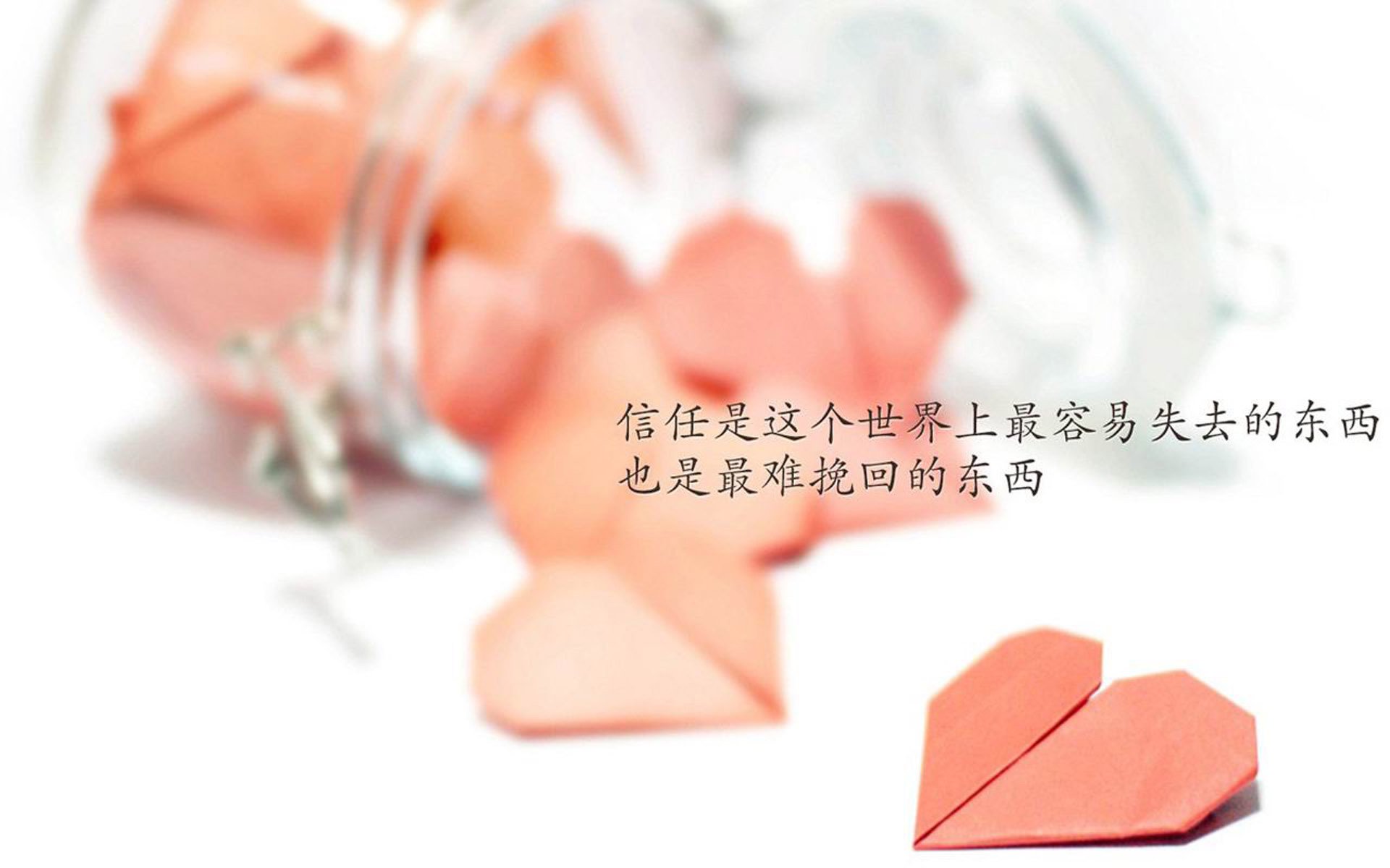 有机蔬菜专卖店加盟(有机蔬菜专卖店加盟项目)